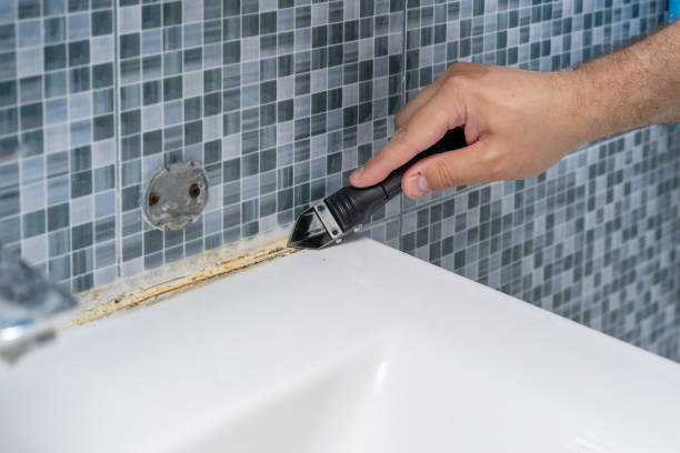 Best Emergency Mold Removal  in Four Corners, MD