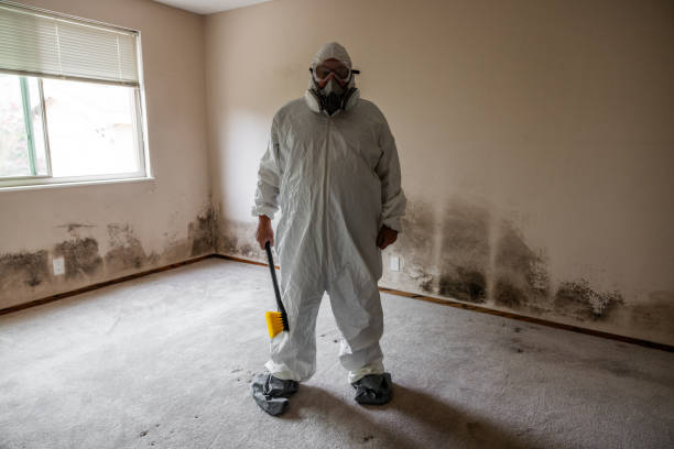 Professional Mold Removal in Four Corners, MD